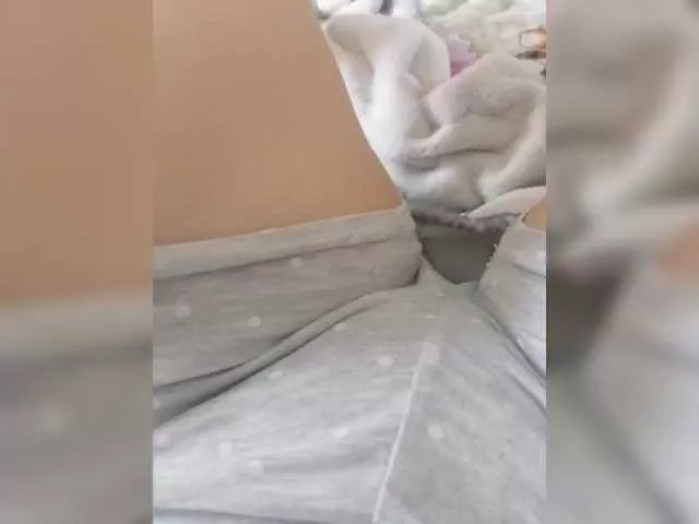 Anastasia0000 on BongaCams