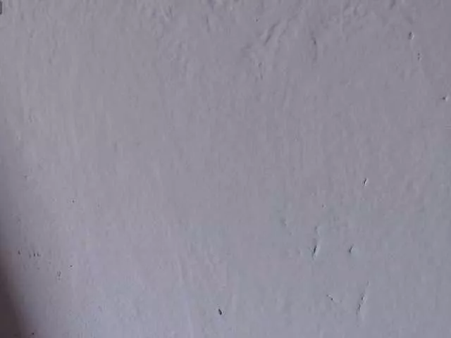 Offline Evah-lee on BongaCams