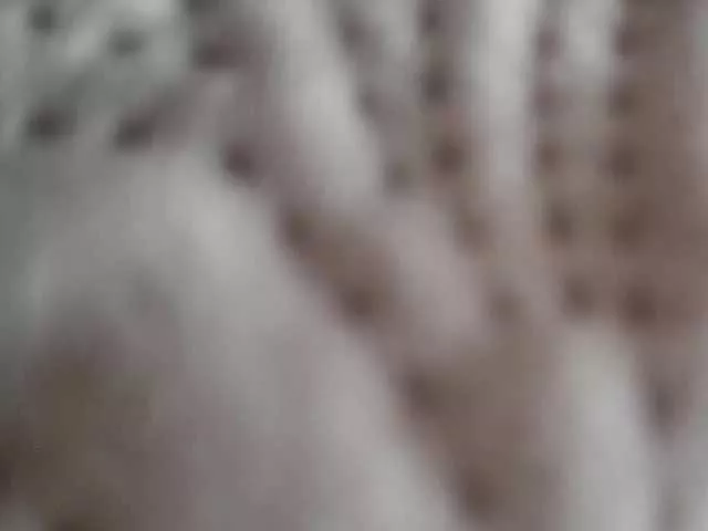 Offline Fox23 on BongaCams