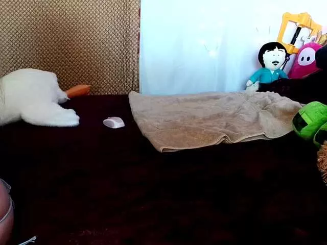 Offline gamergirlroxy on BongaCams