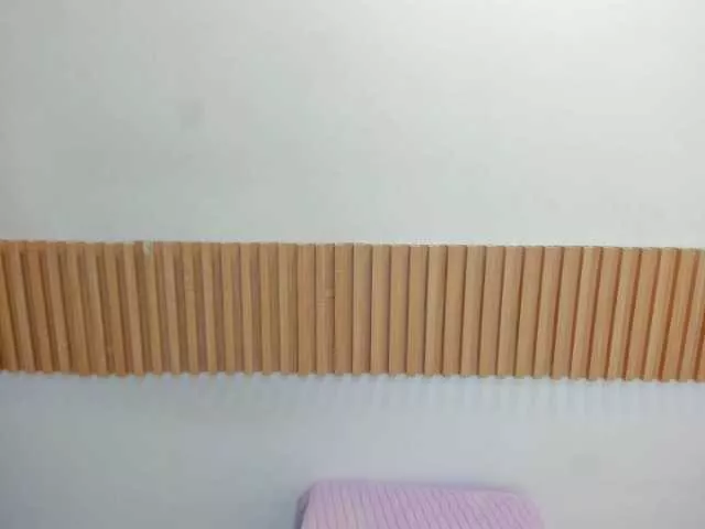 Offline KarolSmith on BongaCams