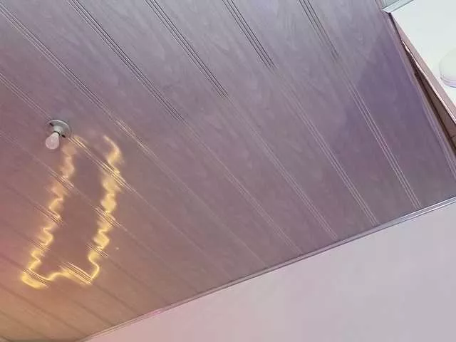 Offline Laylafoxy-tay on BongaCams