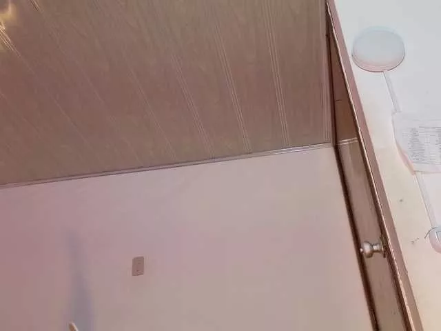 Offline Laylafoxy-tay on BongaCams