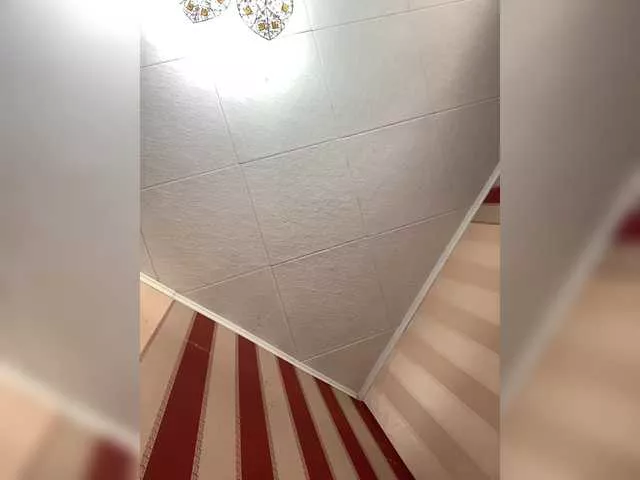 Offline Lenalena69099 on BongaCams