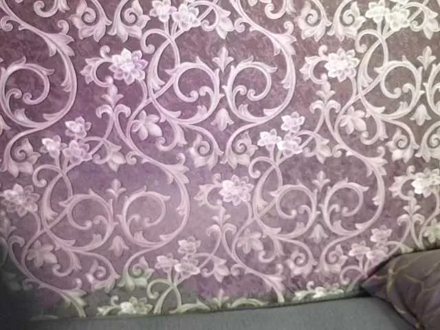 Offline Lola-Lush on BongaCams