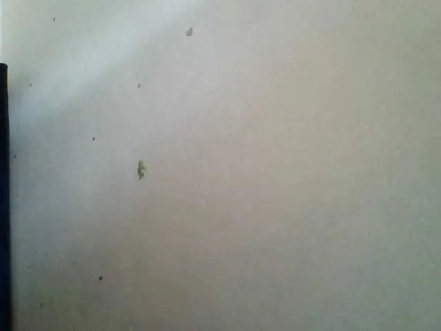 Lolah3 — Hi loves private show messy squirt and anal,,u a welcome 