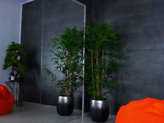 Freechat LovingBlondie on BongaCams