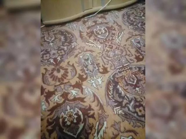 Marina-Aleksandr — We use the menu for free and do nothing