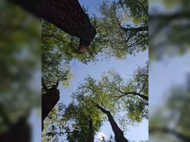 PeachGlowPH on BongaCams