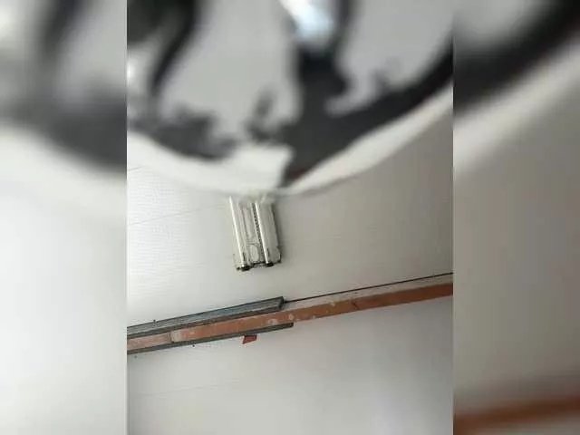 pizzahubb on BongaCams