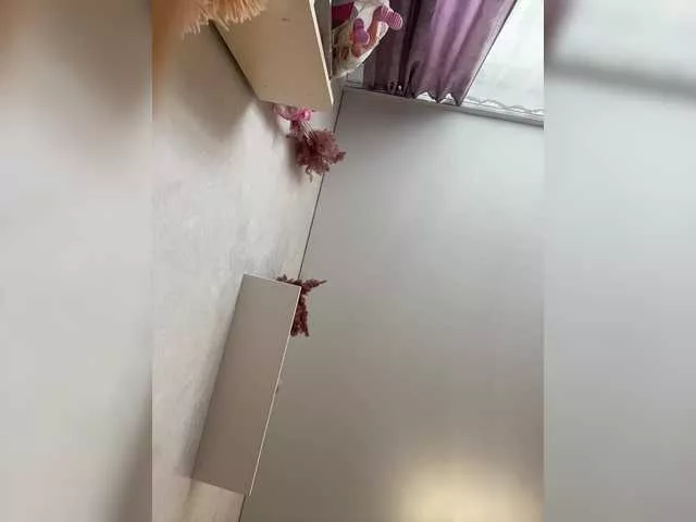 Offline RadaRay55 on BongaCams