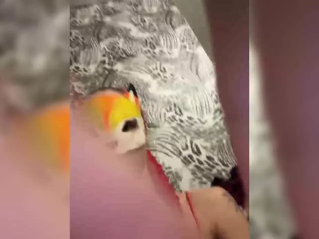 RedHair13 on BongaCams