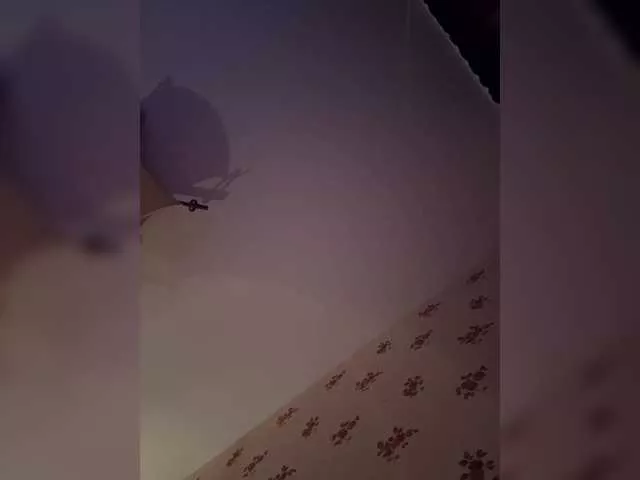 Offline Rinaaamur on BongaCams