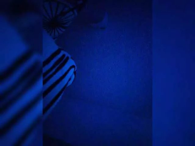 sidgy592 on BongaCams