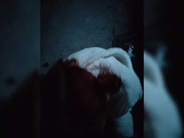 Offline sluska1 on BongaCams