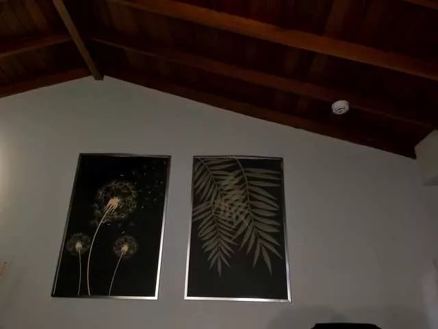 ValeriaVelvet on BongaCams