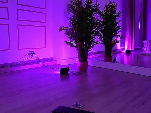 Offline VanesaSimon on BongaCams