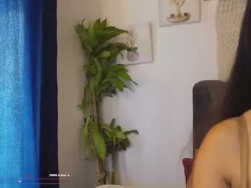 Freechat bunnycute_shy on Chaturbate