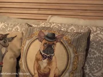 itsyaraa on Chaturbate