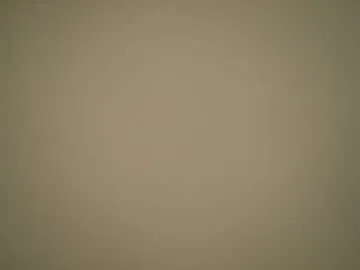 Offline noscandal on Chaturbate