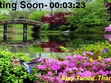 Offline scifidiscoguy on Chaturbate