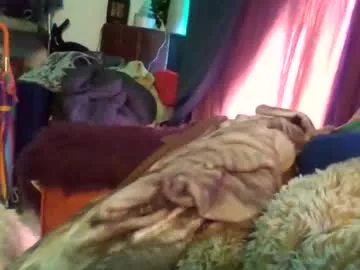 Offline siofra on Chaturbate