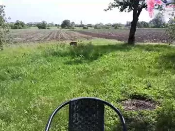 Offline sunflower0907 on Chaturbate