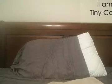 tinycock_1979 on Chaturbate