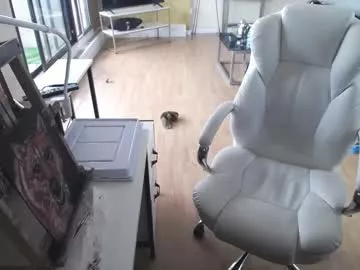 Offline tinykylie on Chaturbate