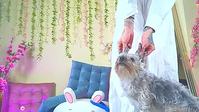 Offline -NOBU- on StripChat