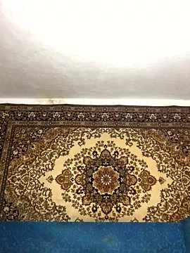 AlanStrongs on StripChat