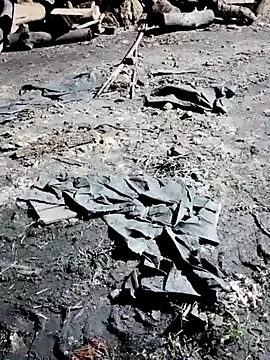 Offline Ankitahot1993 on StripChat