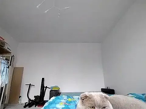 Anneta280671 on StripChat