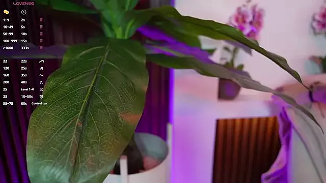 Anybuny on StripChat