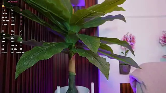 Anybuny on StripChat