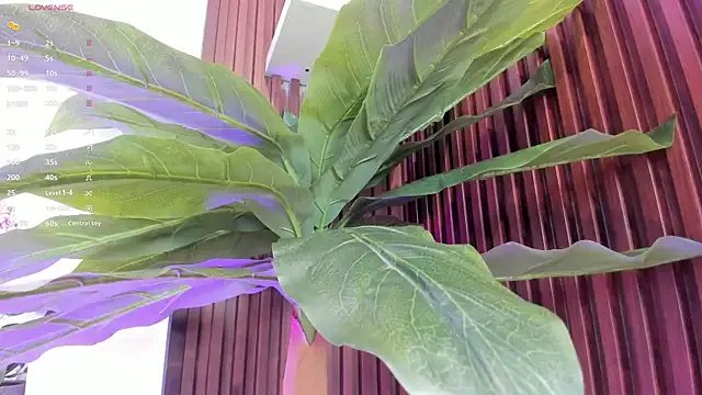 Anybuny on StripChat