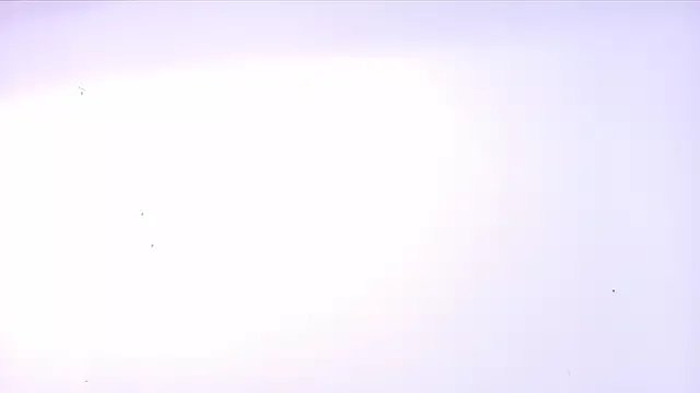 arl_chloee on StripChat