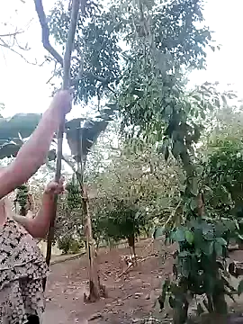 Offline BigBoobs186 on StripChat