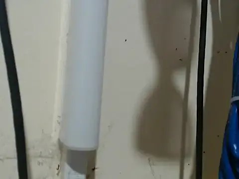 Charming_lexi on StripChat