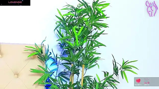 CoraVex on StripChat