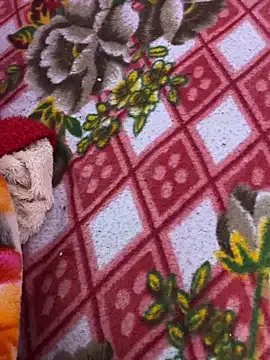 Cute_palak001 on StripChat