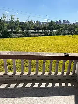 Offline dachui_168 on StripChat