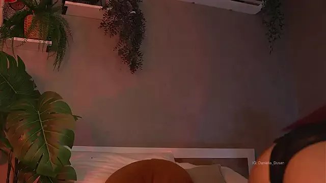 DaniDusan_ on StripChat