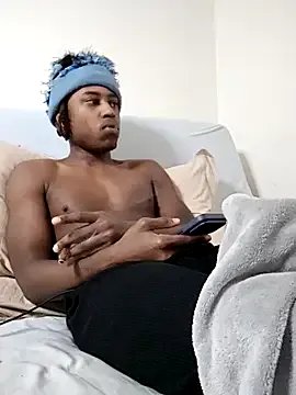 DarkSkinStroker — Buy a black hairless cat