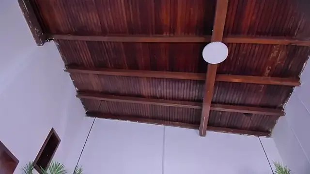 emily-fox on StripChat