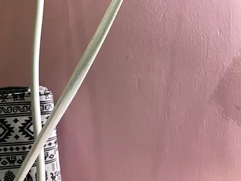 Freechat Fantastic_ruby on StripChat