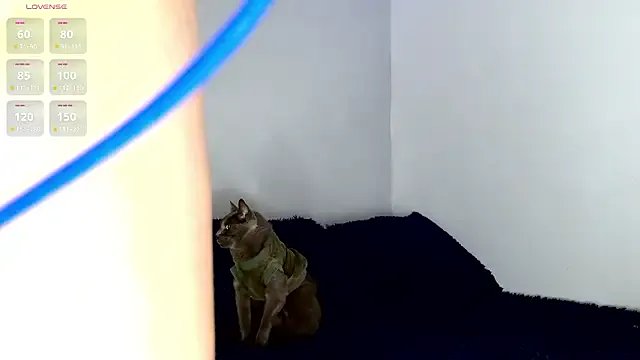 gigilovedback on StripChat