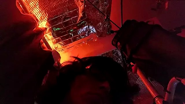 gurlnips on StripChat