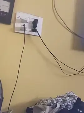 Offline Honey_rosetamil on StripChat