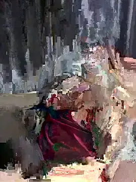 Offline IN_ha1 on StripChat